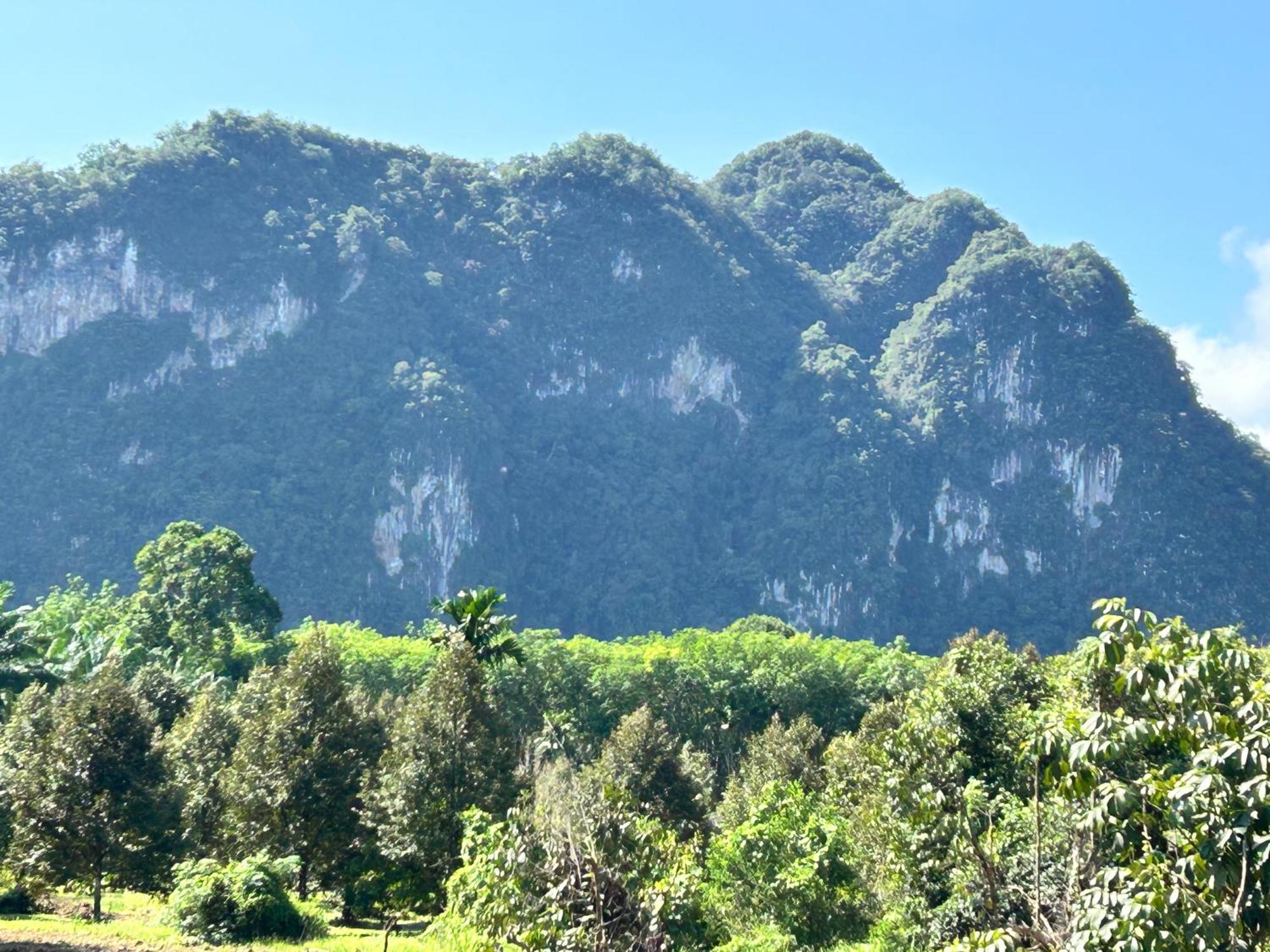 Khaosok Secret Hostel Khao Sok National Park Bagian luar foto